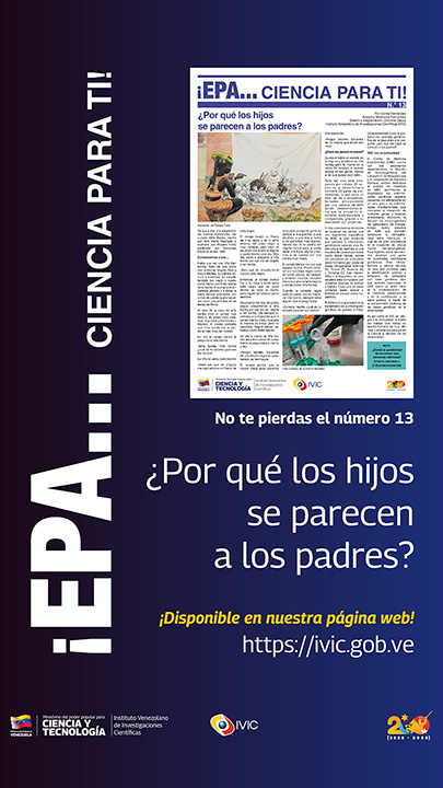 flyer-promocional-epa-13-CON-NUEVA-IMAGEN